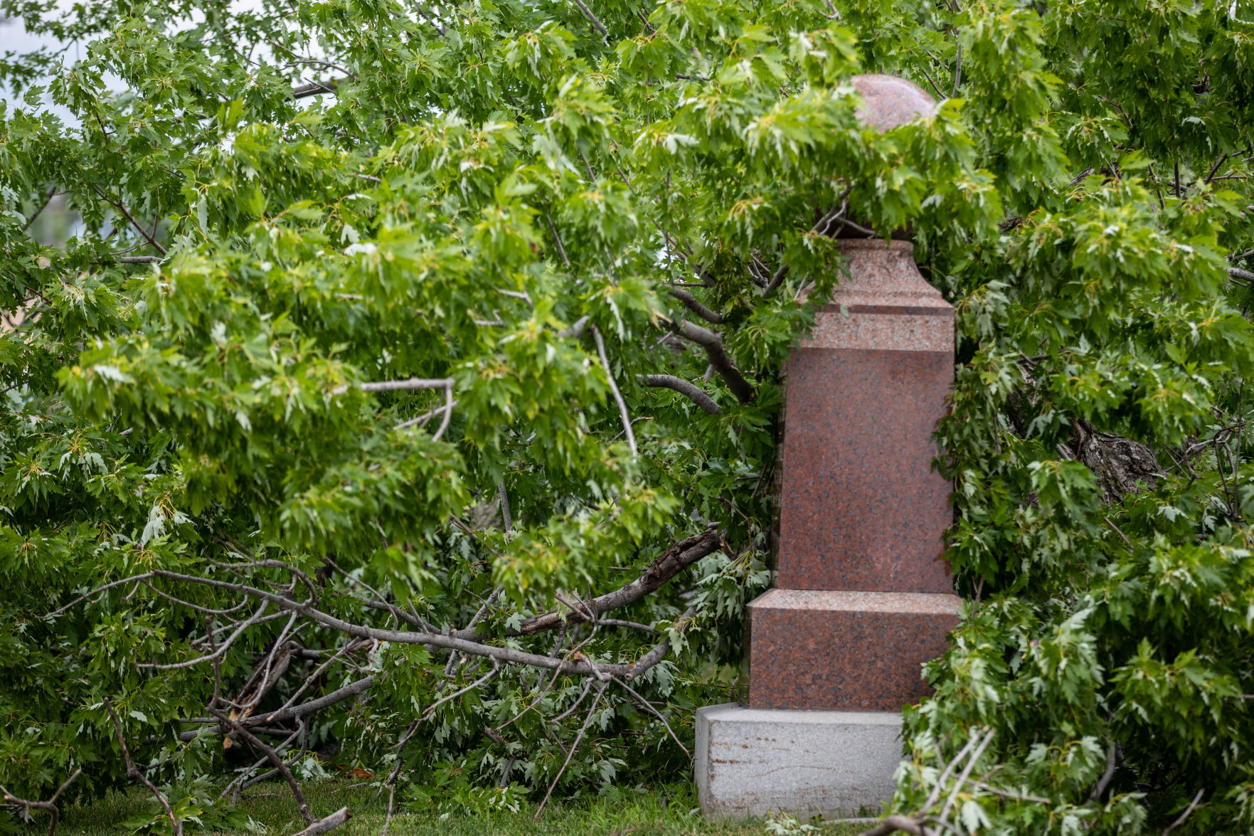 071121-owh-new-stormdamage-pic-CM014.jpg